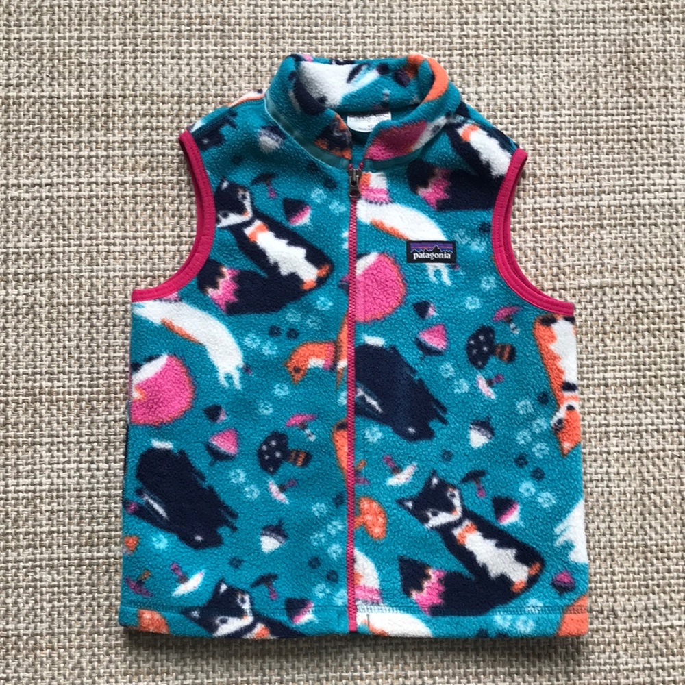 Patagonia Fleece Vest (size 4T)